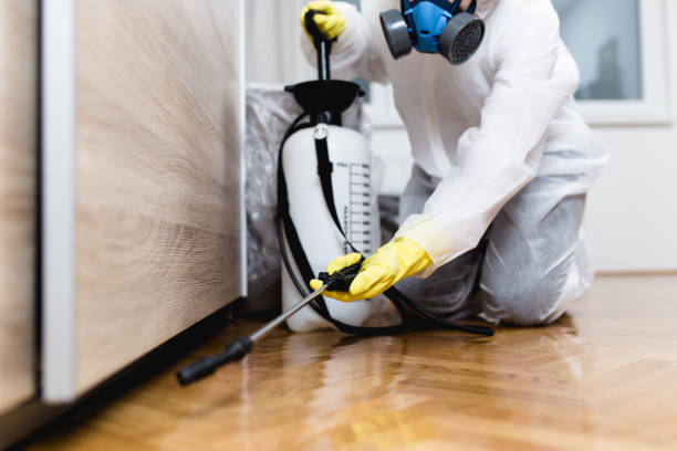 Best Pest Control Near Me  in Hamilton College, NY