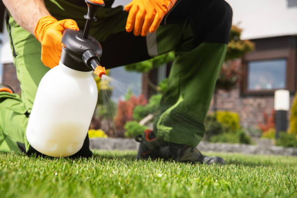Best Affordable Pest Control Services  in Hamilton College, NY
