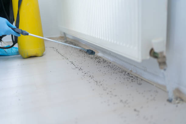 Best Residential Pest Control  in Hamilton College, NY