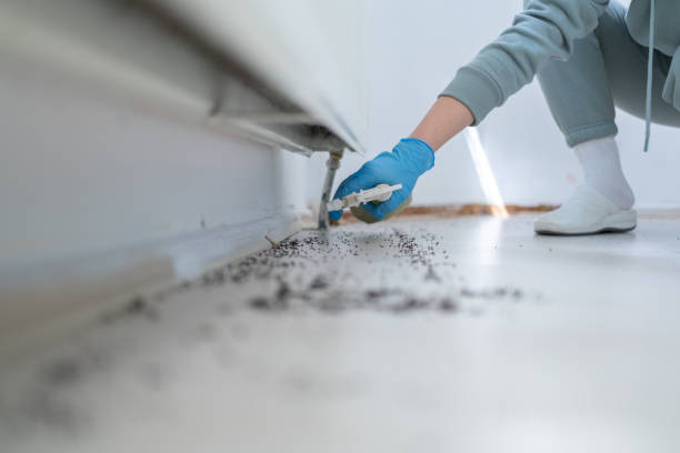 Best Affordable Pest Control Services  in Hamilton College, NY